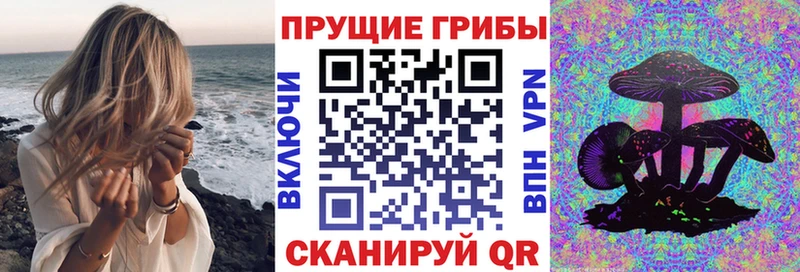 Псилоцибиновые грибы MAGIC MUSHROOMS  darknet как зайти  Биробиджан  что такое наркотик 